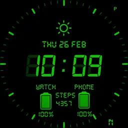 Retro LCD