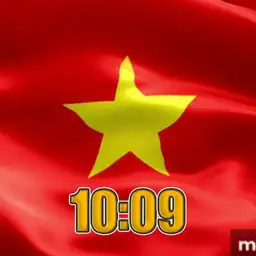 Co do sao vang VN