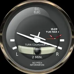 Turn Coordinator 2 _ Aircraft
