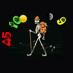 skull trekk