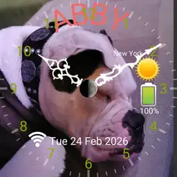 Old English Bulldog