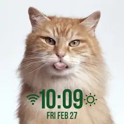 Licky Cat