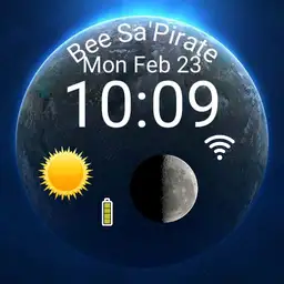 Bee SaPirate