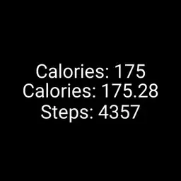 Calorie Counter