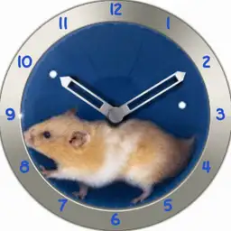 Hamsterrad