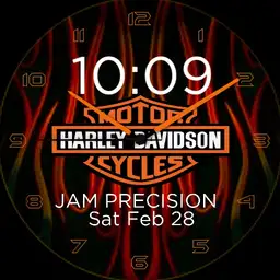 HARLEY DAVIDSON AND FLAMES
