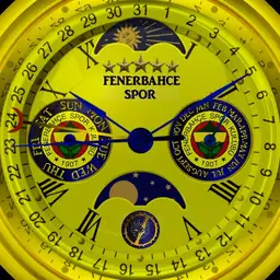 FENERBAHCE SPOR