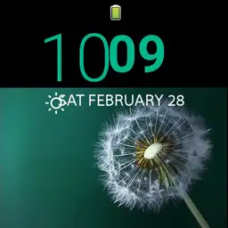 Dandelion