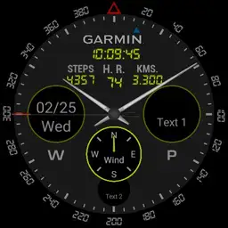 Garmin full info black for ticwatch