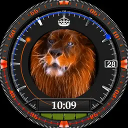 The King