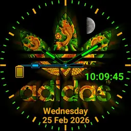 Adidas Fish