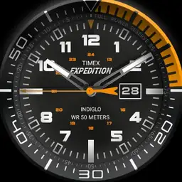 Timex Expedition Bezel or not
