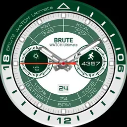 BRUTE WATCH ULTIMATE All In One Watch Colours