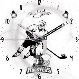 Iserlohn Roosters Spiel Eishockey