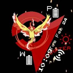 Team Valor DMI