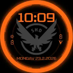 The Division Copy