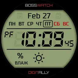 BSSW Digitally