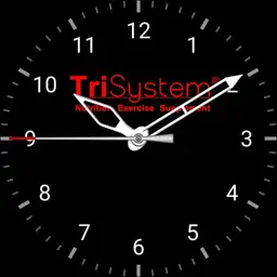 TriSystem Analogue