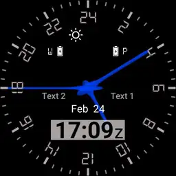 GMT Master 24