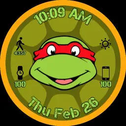 Tmnt Raphael face