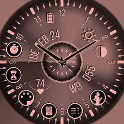 SA Watch Copy
