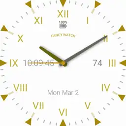 Fancy Watch