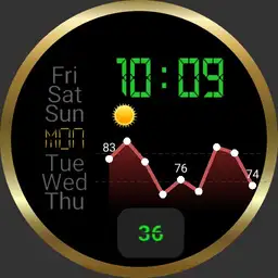healty watch