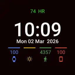 Wear OS 2.0 Copy