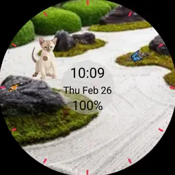 Japanese rock garden