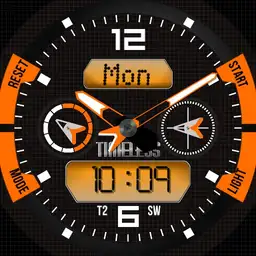 Timeless Coloring Watch