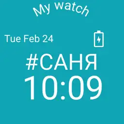 Pro watch