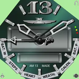 AM13-006-01