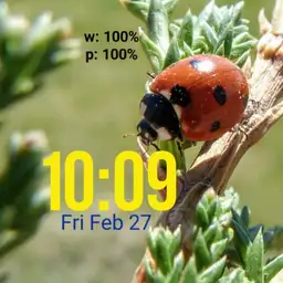 cjb ladybug digi