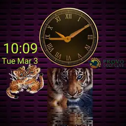 awesome casperide watch Copy