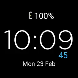 my garmin watch