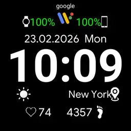 pixel watch v2