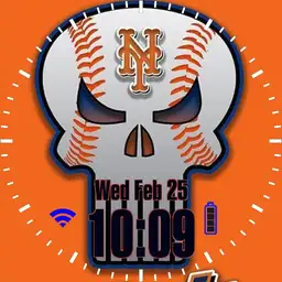 punisher Mets