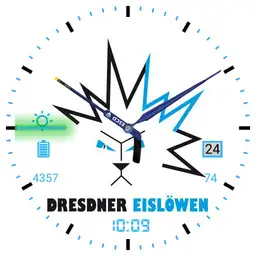 Eisloewen Dresden Analog
