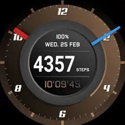 Speedo watch