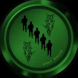 Military. Wolf Squad. 3Face and cover.