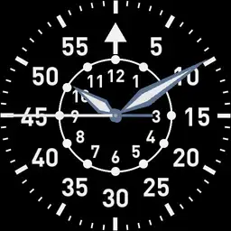 Flieger Pilot