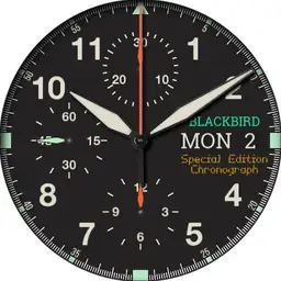 BLACKBIRD Sport Chronograph Gen. 1
