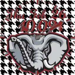 Abbies Houndstooth Copy