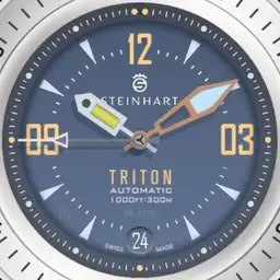 Nr. 2995 Steinhart