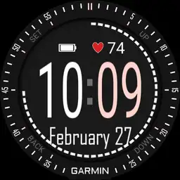 D51 - Garmin Fenix 3 Heartbeat