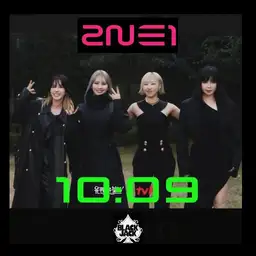 2NE1_Tribute_2024 Copy