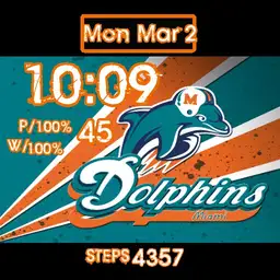 Miami Dolphins #1