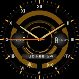 The Division Watch Face