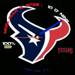 TEXANS FAN