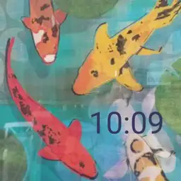 Colorful Carp